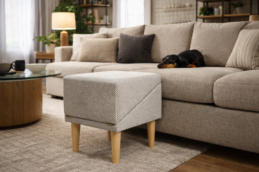 Dog Ramp vs Dog Stairs: Comparing Comfort, Safety, and Best Use Cases