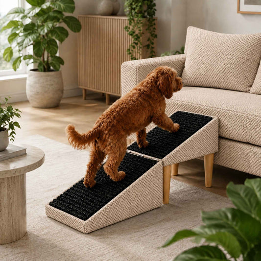 Klappbare 2-in-1-Hunderampe mit Pouf-Funktion – weich, rutschfest und möbelinspiriert