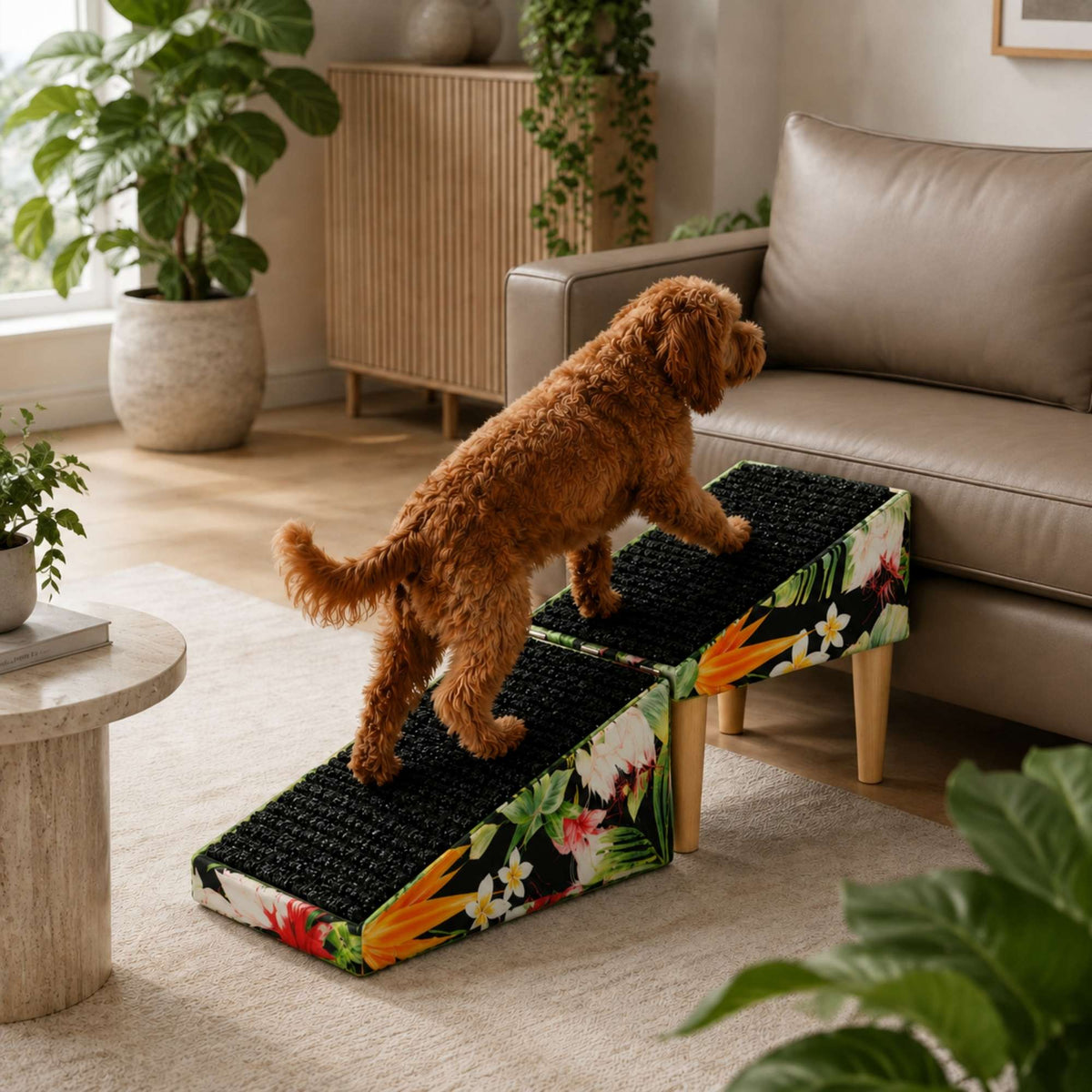 Foldable 2-in-1 Dog Ramp with Pouf Function – Soft, Non-Slip and Furniture-Inspired