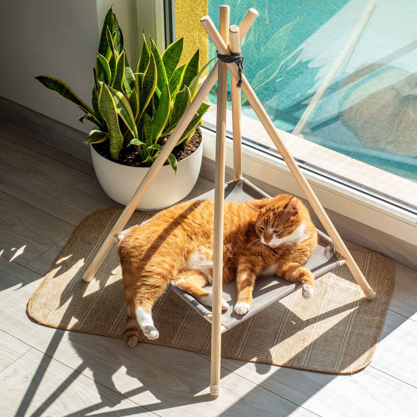 Holzzelt für Hunde & Katzen – stilvoller Indoor-Rückzugsort für kleine Haustiere