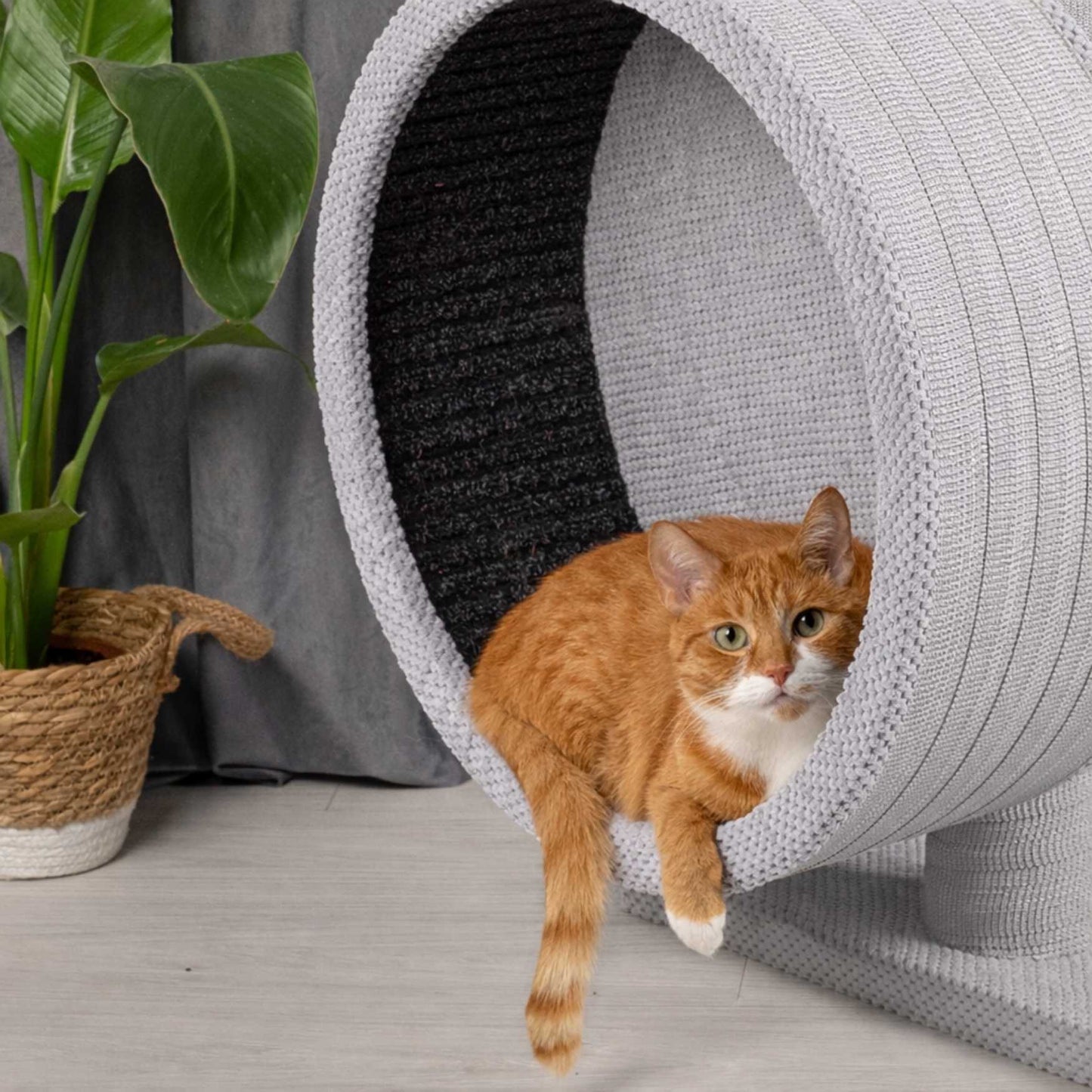 Cat Tree with Small Wooden Cat Exercise Wheel – Stable, Modern and Activity-Focused