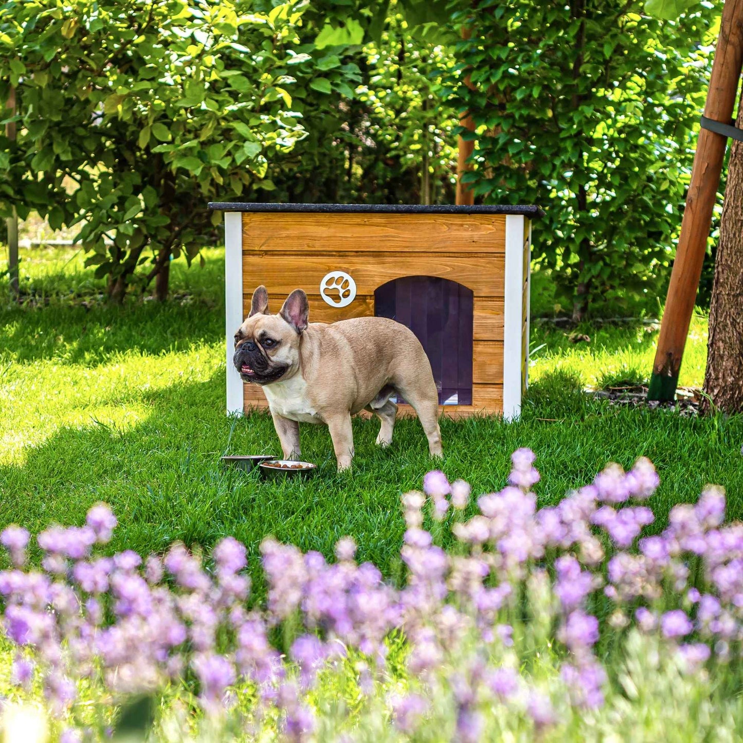 Insulated Outdoor Dog House with Openable Flat Roof
